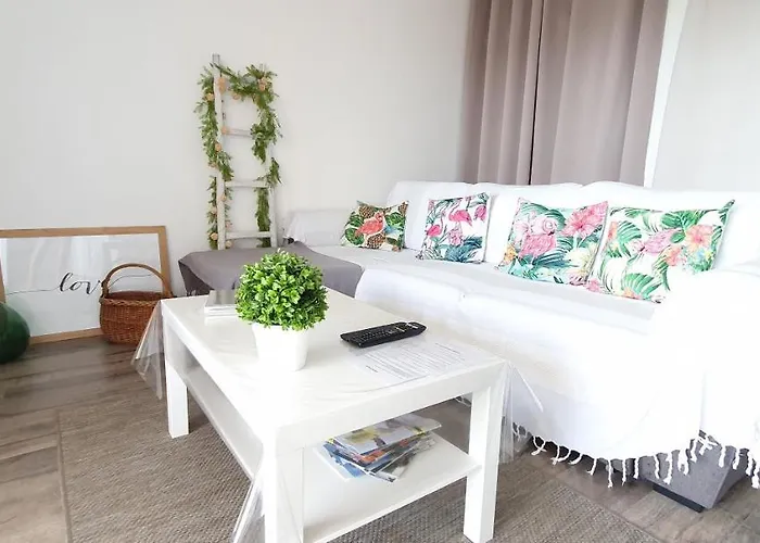 Vue Panoramique Appartement Ajaccio (Corsica)